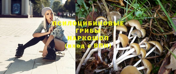 стаф Белокуриха