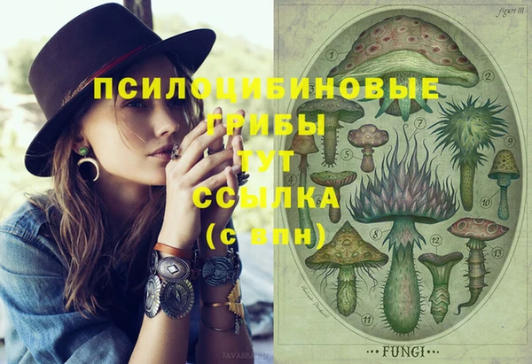стаф Белокуриха