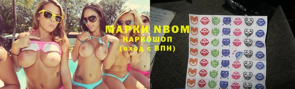 кокс Баксан