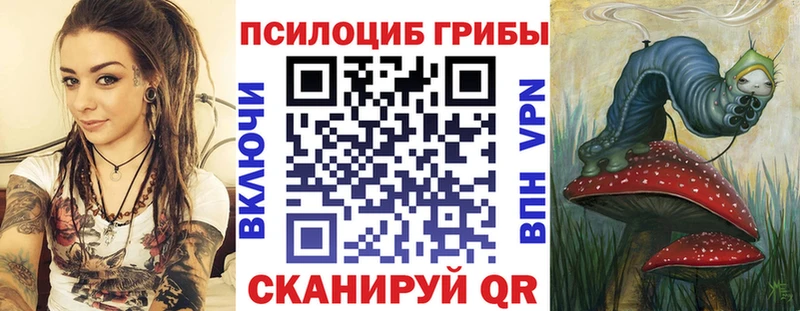 Псилоцибиновые грибы прущие грибы  Краснообск 